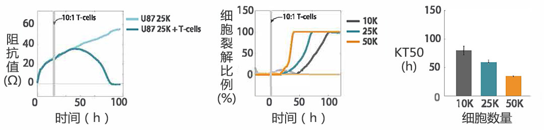Axion Biosystems MAESTRO Z實(shí)時(shí)無標(biāo)記細(xì)胞分析儀