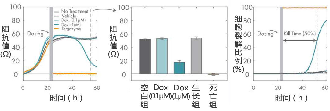Axion Biosystems MAESTRO Z實(shí)時(shí)無標(biāo)記細(xì)胞分析儀