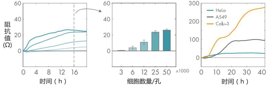 Axion Biosystems MAESTRO Z實(shí)時(shí)無標(biāo)記細(xì)胞分析儀