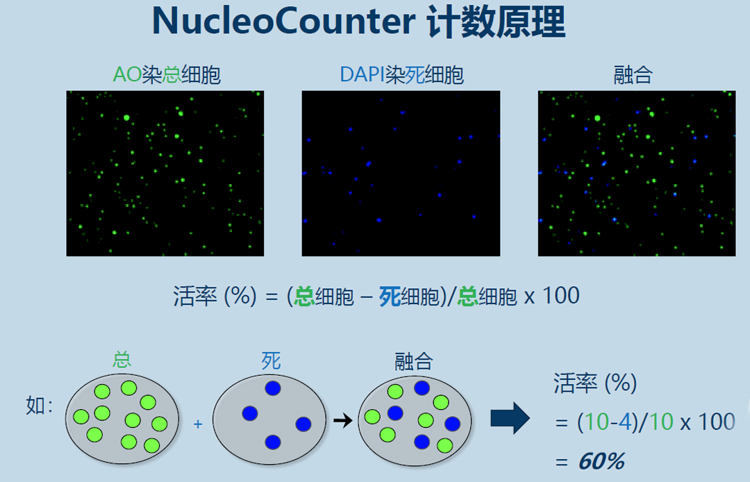Chemometec NucleoCounterӋx