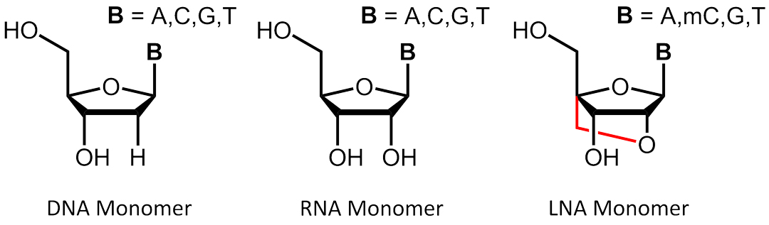 IDT Affinity Plus qPCR探針LNA鎖核酸探針一級(jí)代理商北京澤平