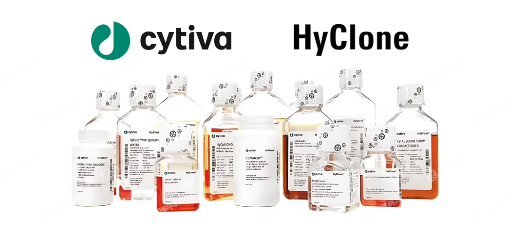 ¡Hyclone̥ţѪ(x)B(yng)һ(j)̱ƽ
